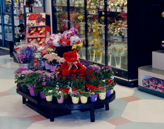 plastic oval stand holding plants