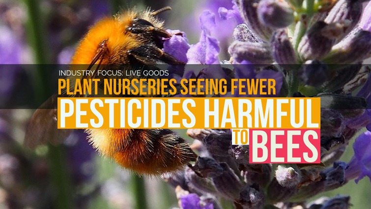 plant nurseries live bees harmful pesticides