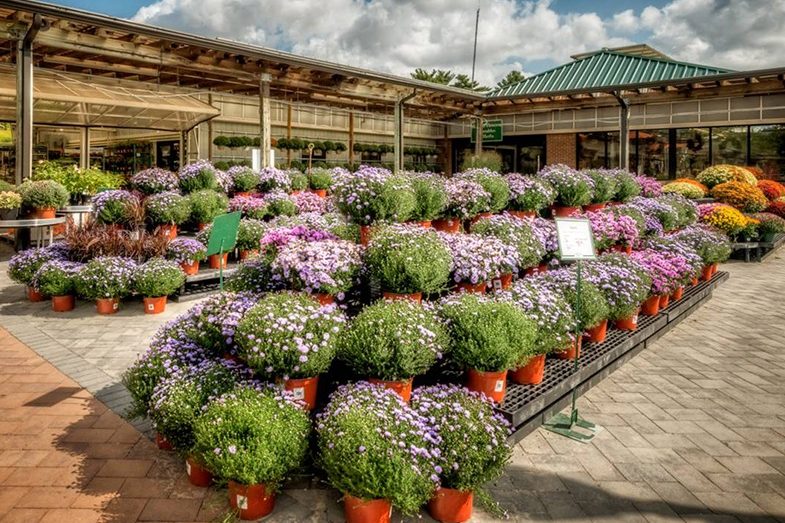 Outdoors live goods displays