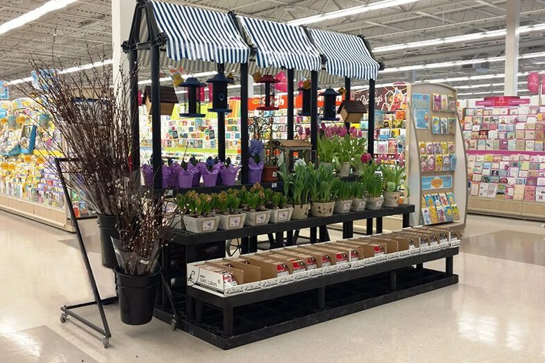 Seasonal display with bird houses, plants and seeds