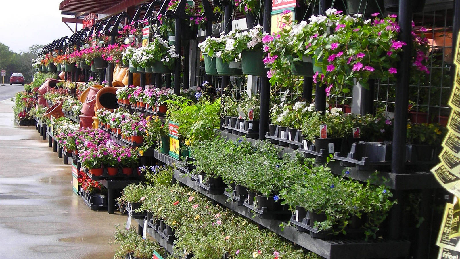 Exterior gardening display at H-E-B.