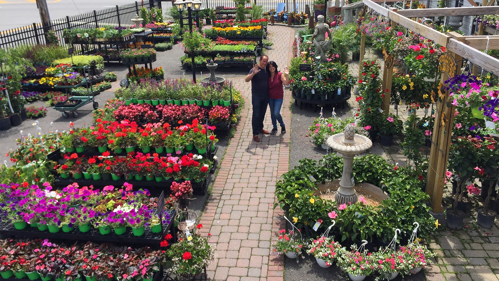 Entire outdoor live goods display at Venezia Garden Center.