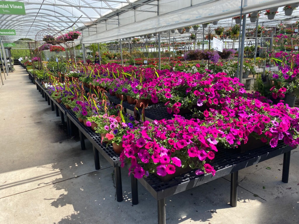 Grid Top Platform Display 66x24 | SPC Retail